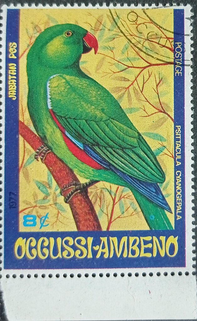 Psittacula Cyanogepala