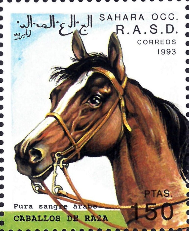 Race Horses