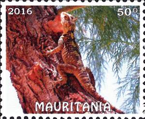 Stamp, Reptiles, Cinderellas,  , Lizards