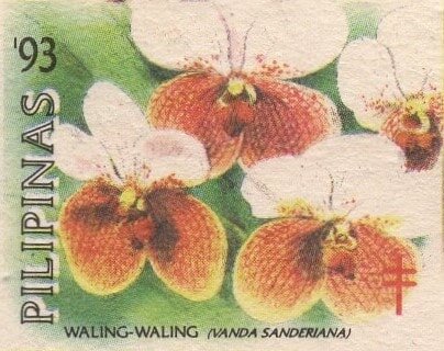 Waling-Waling