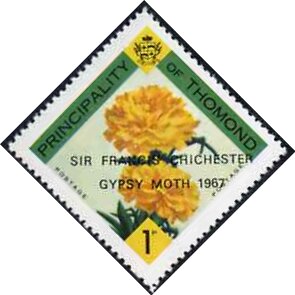 Yellow roses - Sir Francis Chichester