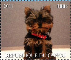 Stamp, Dogs, Congo, Republic (Brazzaville)- Illegal Stamps,  , Animals (Fauna), Dogs