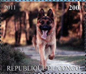 Stamp, Dogs, Congo, Republic (Brazzaville)- Illegal Stamps,  , Animals (Fauna), Dogs
