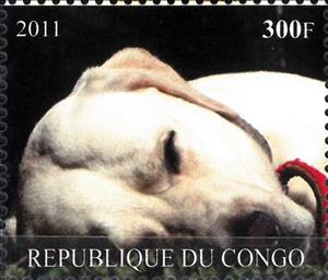 Stamp, Dogs, Congo, Republic (Brazzaville)- Illegal Stamps,  , Animals (Fauna), Dogs