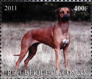 Stamp, Dogs, Congo, Republic (Brazzaville)- Illegal Stamps,  , Animals (Fauna), Dogs