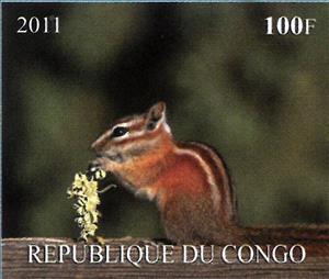 Stamp, Squirrels, Congo, Republic (Brazzaville)- Illegal Stamps,  , Animals (Fauna), Squirrels