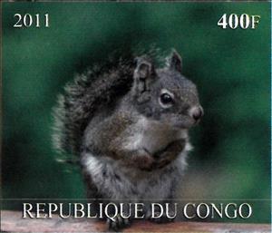 Stamp, Squirrels, Congo, Republic (Brazzaville)- Illegal Stamps,  , Animals (Fauna), Squirrels