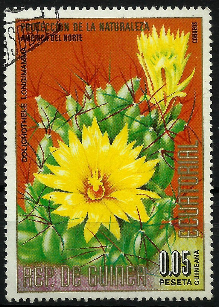 Dolichothele longimamma