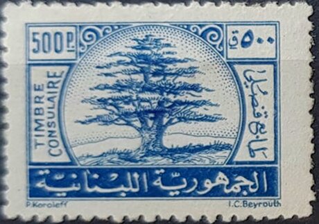 Cedar