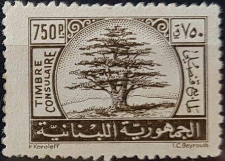 Cedar