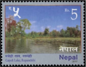 Gajedi Lake, Rupandehi