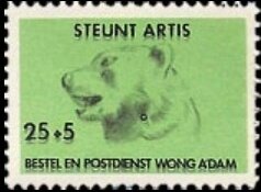 Animals