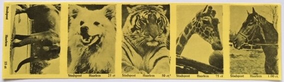 Animals