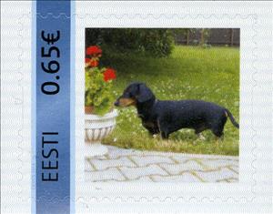 Stamp, Taks, Personalized and Private Mail Stamps,  , Dogs