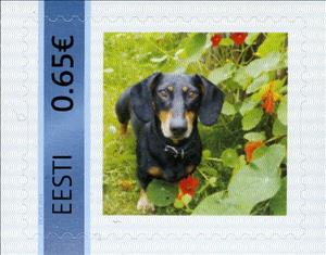 Stamp, Taks, Personalized and Private Mail Stamps,  , Dogs