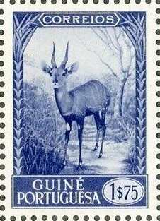 Stamp, Bushbuck (Tragelaphus scriptus), Portuguese Guinea,  , Animals (Fauna), Antelopes, Mammals