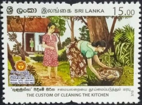 Cleaning The Kitchen