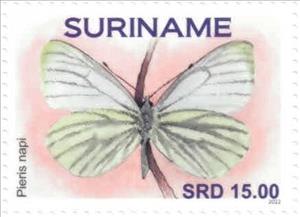 Stamp, Pieris napi, Suriname,  , Animals (Fauna), Butterflies, Insects