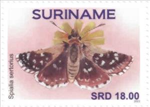 Stamp, Spialia sertorius, Suriname,  , Animals (Fauna), Butterflies, Insects