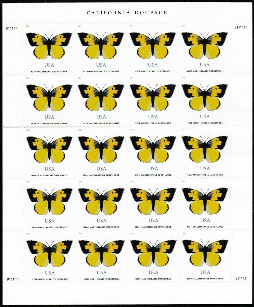 California Dogface (Zerene eurydice)