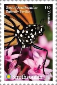 Butterfly Pavilion