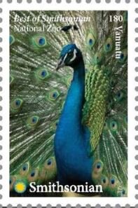 Stamp, National Zoo, Vanuatu,  , Animals (Fauna), Birds, Zoos