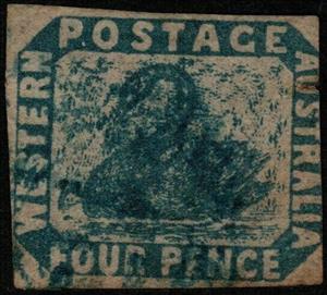 Stamp, Black Swan (Cygnus atratus), Western Australia,  , Animals (Fauna), Birds, Swans