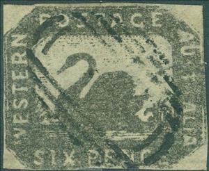 Stamp, Black Swan (Cygnus atratus), Western Australia,  , Animals (Fauna), Birds, Swans