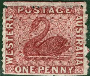 Stamp, Black Swan (Cygnus atratus), Western Australia,  , Animals (Fauna), Birds, Swans