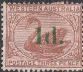 Stamp, Black Swan (Cygnus atratus), Western Australia,  , Animals (Fauna), Birds, Swans