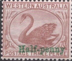 Stamp, Black Swan (Cygnus atratus), Western Australia,  , Animals (Fauna), Birds, Swans