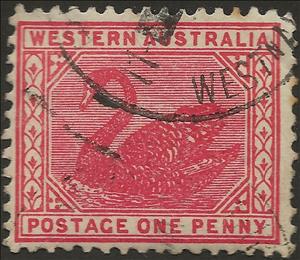 Stamp, Black Swan (Cygnus atratus), Western Australia,  , Animals (Fauna), Birds, Swans