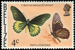 Stamp, Belus Swallowtail (Battus belus), Belize,  , Animals (Fauna), Butterflies, Insects