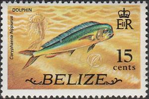 Stamp, Common Dolphinfish (Coryphaena hippurus), Belize,  , Animals (Fauna), Fishes, Sea Life