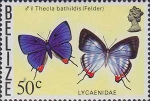 Stamp, Thecla bathildis, Belize,  , Animals (Fauna), Butterflies, Insects