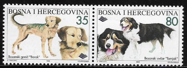Dogs