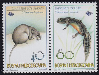 Fauna 1997