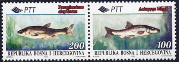 Fishes