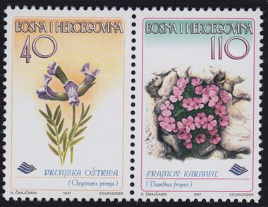 Flowers 1997