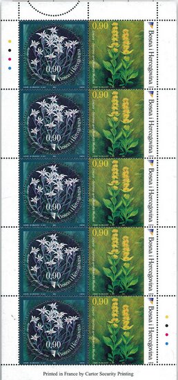 Flowers 2003