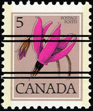 Stamp, Shooting Star (Dodecatheon hendersonii), Canada,  , Flowers, Plants (Flora)