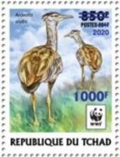 Arabian Bustard (Ardeotis arabs) - Light Blue Overprint
