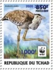 Arabian Bustard (Ardeotis arabs) - Light Blue Overprint