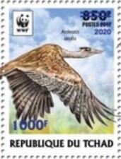 Arabian Bustard (Ardeotis arabs) - Light Blue Overprint