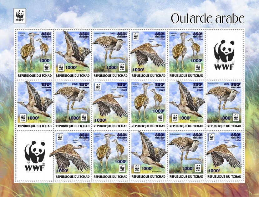 Arabian Bustard (Ardeotis arabs) - Light Blue Overprint