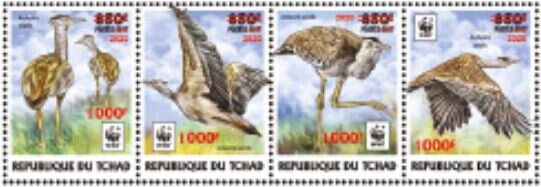 Arabian Bustard (Ardeotis arabs) - Red Overprint