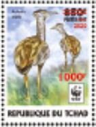 Arabian Bustard (Ardeotis arabs) - Red Overprint