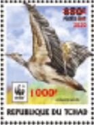 Arabian Bustard (Ardeotis arabs) - Red Overprint