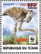 Arabian Bustard (Ardeotis arabs) - Red Overprint