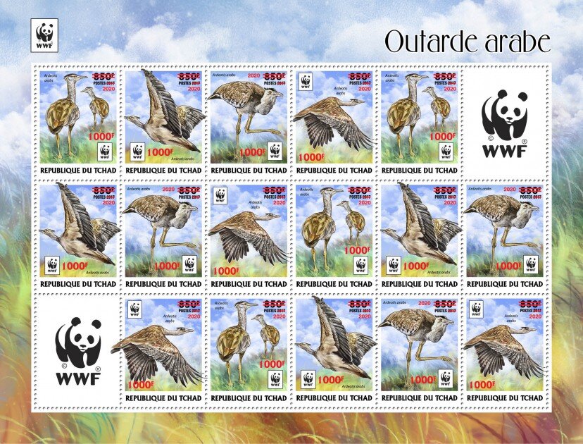 Arabian Bustard (Ardeotis arabs) - Red Overprint